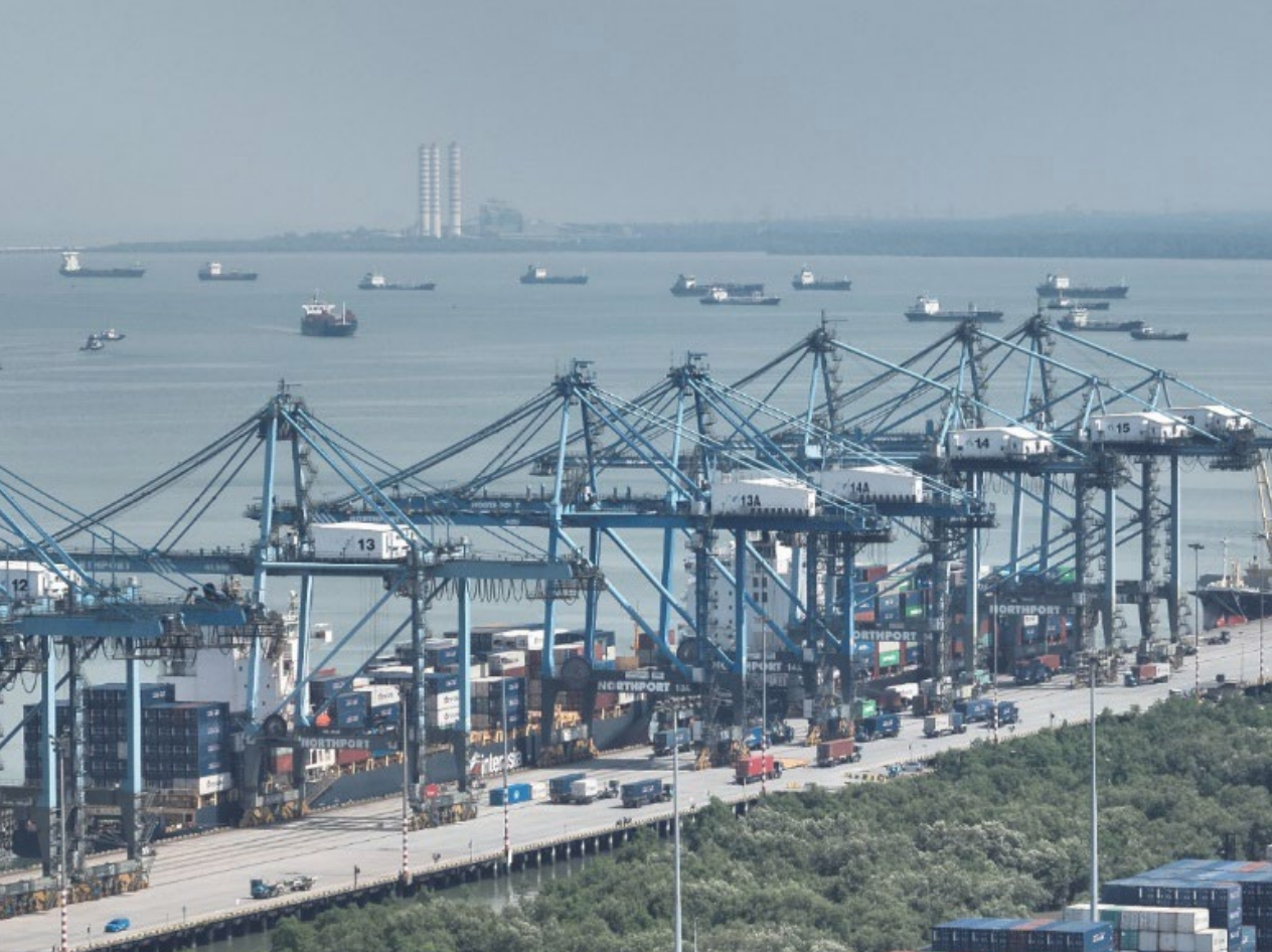 Screenshot 2024-09-20 at 11.54.09 AM